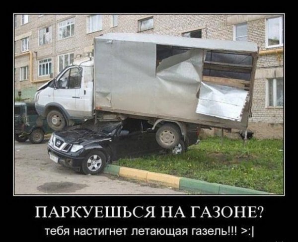 Газель прикол