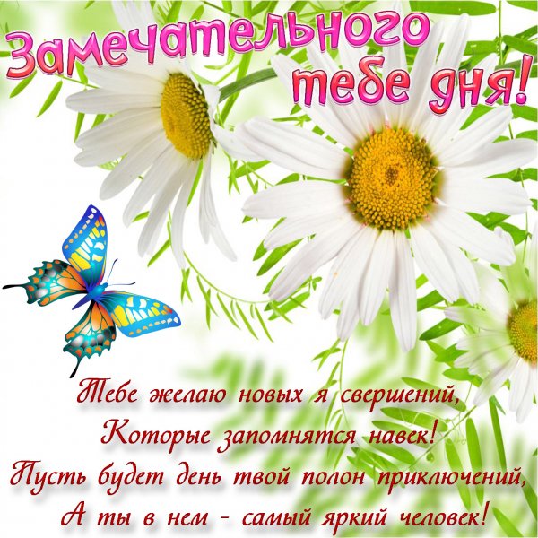 Поздравления с добрым днем красивые