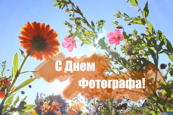 С днём фотографа открытки