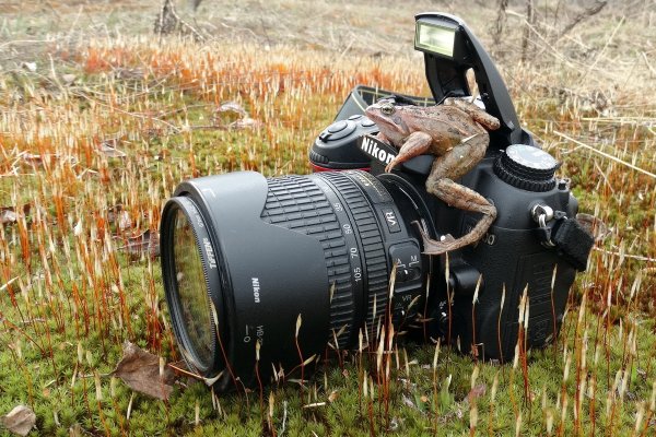 Открытка фотографу