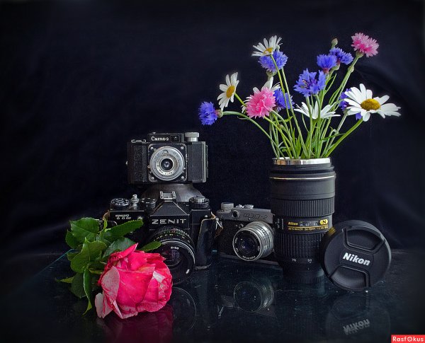 Фотоаппарат в цветах