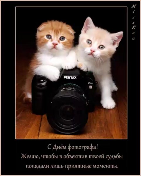 День фотографа