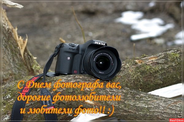 С днем фотографа поздравления короткие