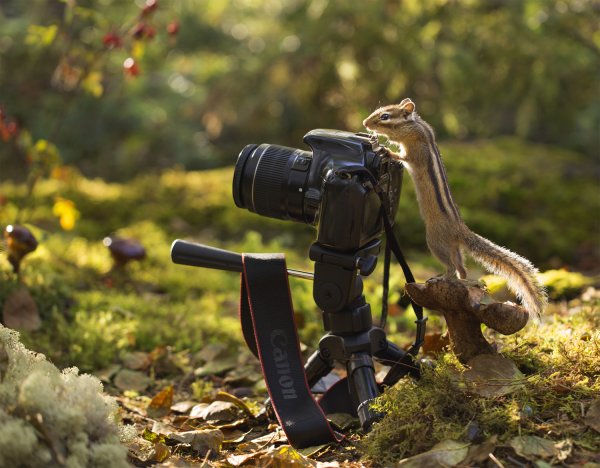 Праздник день фотографа