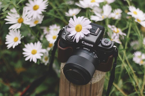 День фотографа фото