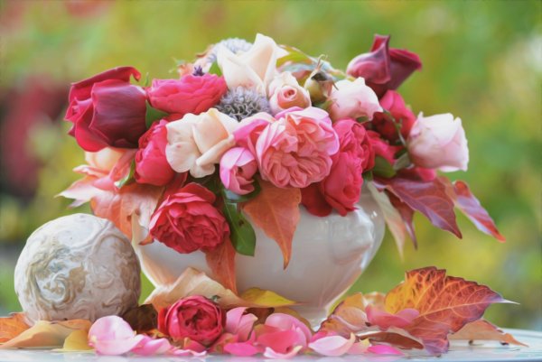 Осенние розы