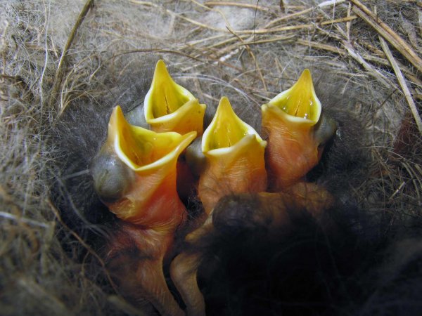 День зарплаты прикол