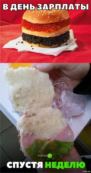 Я бычок подниму Горький дым затяну