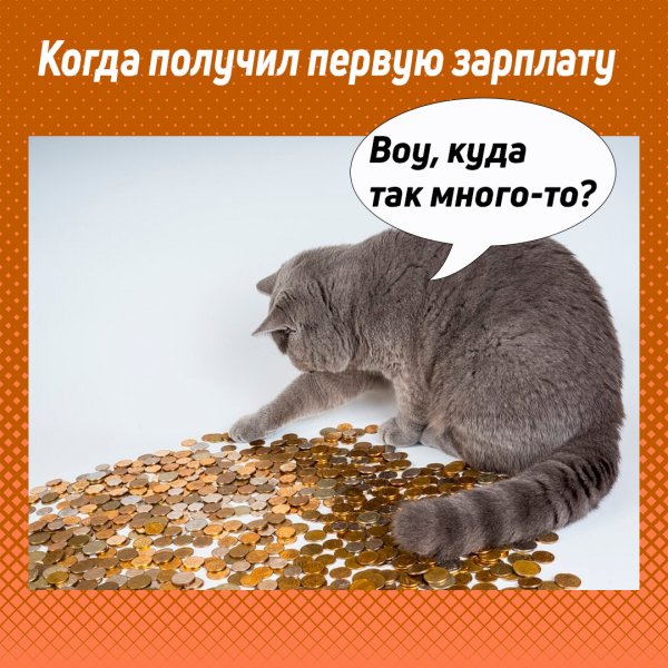 В ожидании зарплаты