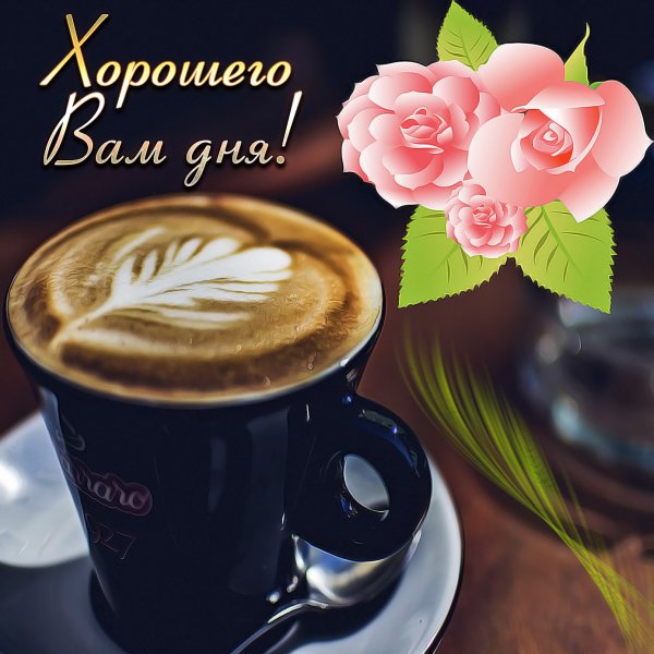 Добрые пожелания