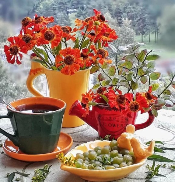 Чудесного утра и прекрасного дня