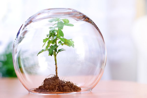 5 Июня Всемирный день окружающей среды