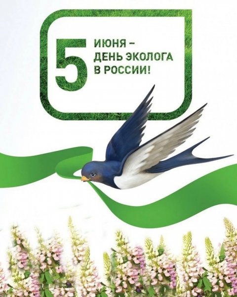 Фон защита природы