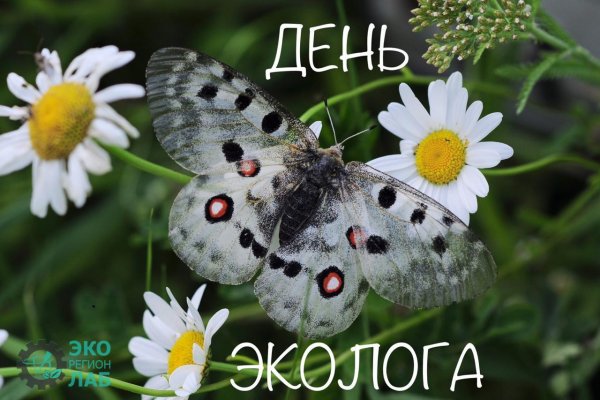 Природа экология