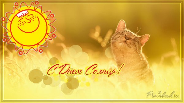 Поздравительные открытки с солнцем