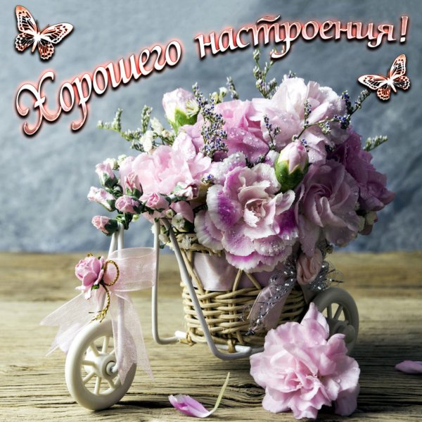 Доброе мартовское утро и хорошего дня