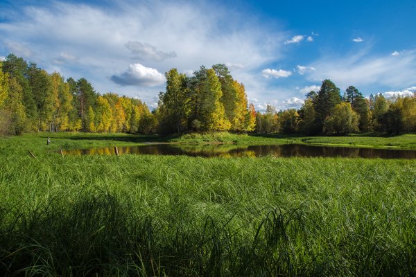 Ясный погожий день
