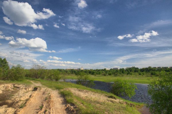 Река из дерева