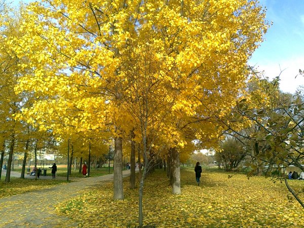 Погожего осеннего дня