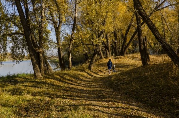 Фотоконкурс осенний день Князе-Волконское