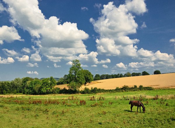 Летние пейзажи в июле