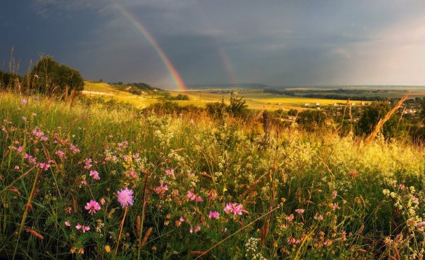 Август природа