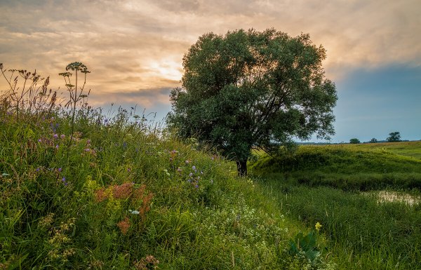 Июльский день