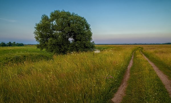 Июльские дни фото