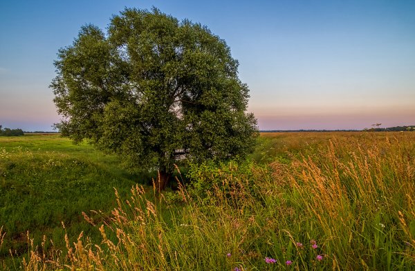 Картинки мочыны
