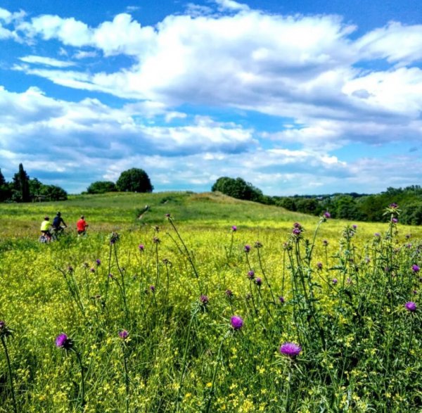 Июнь природа