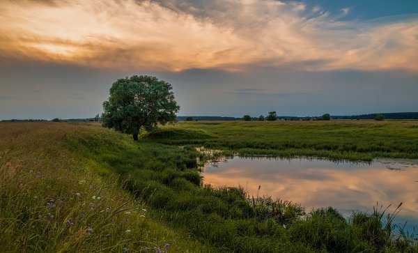 Конец лета пейзаж