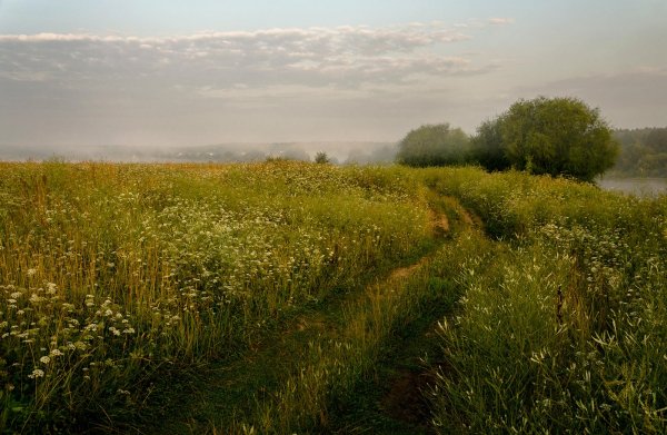 Лето в разгаре картинки