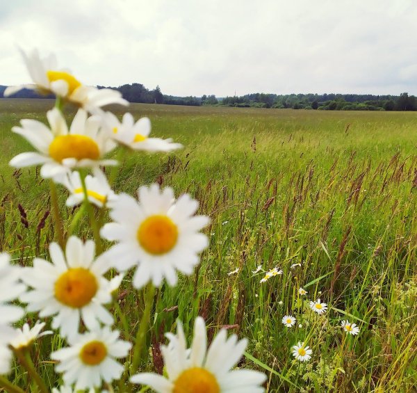 Простой пространственный пейзаж фото