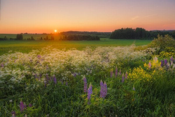 Фотоконкурс летний пейзаж