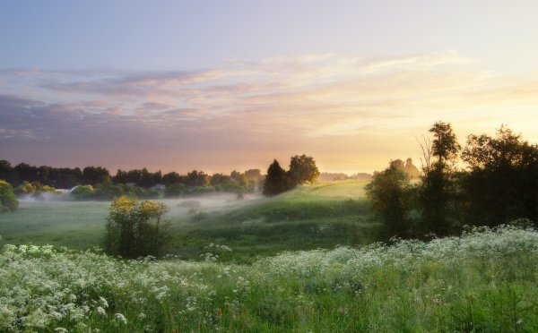 Июньский пейзаж