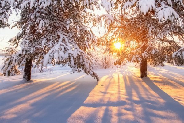 Красивый зимний день