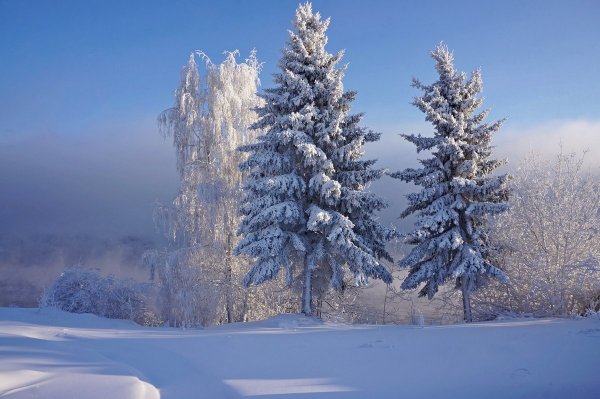 С днем зимы