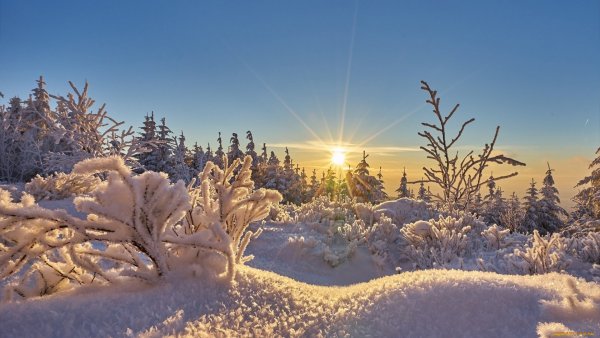 Солнце зимой