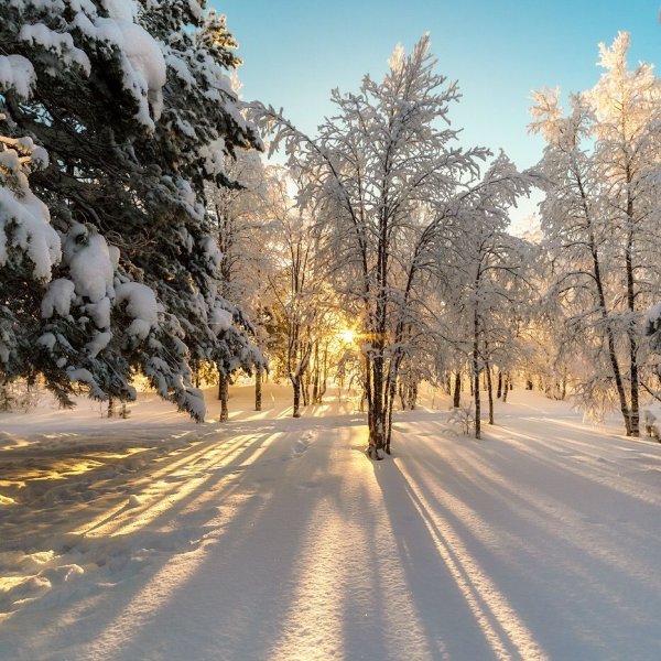 Солнечный зимний день