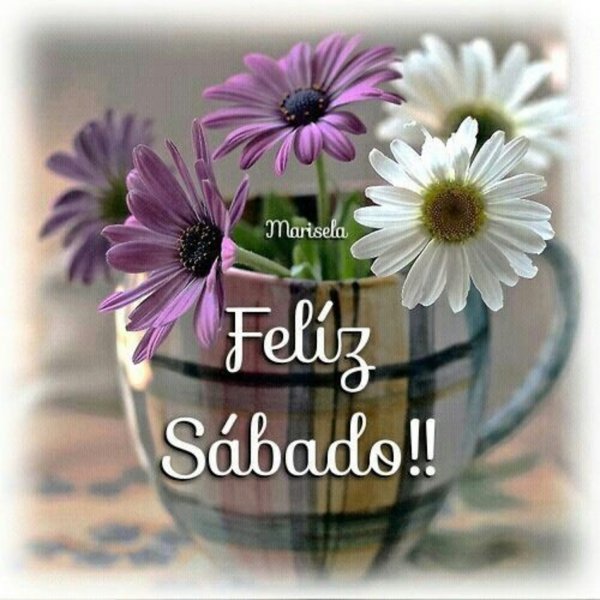 Оптимистичные цветы