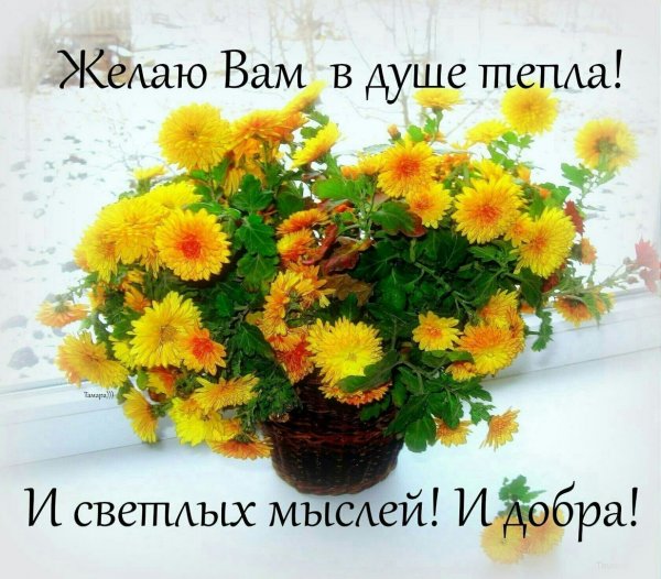 Желаю вам душевного тепла