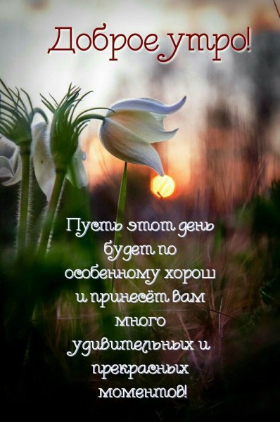Цитаты про утро