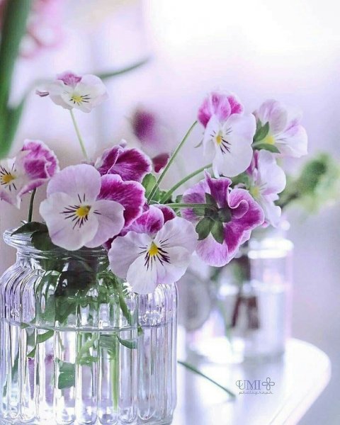 Доброе утро благословенного дня