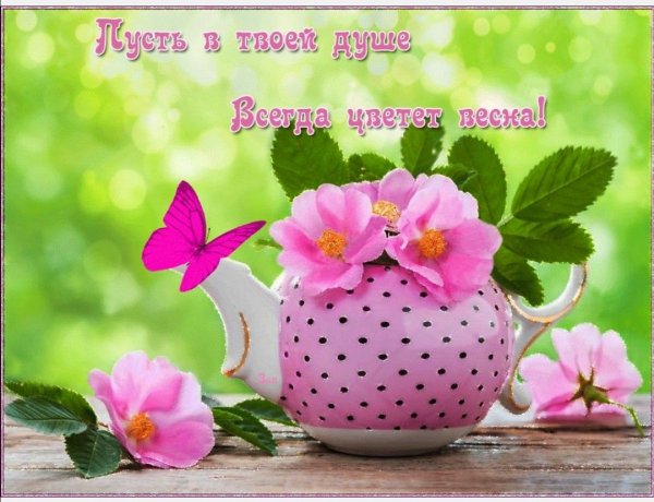 Пусть в душе всегда цветет Весна