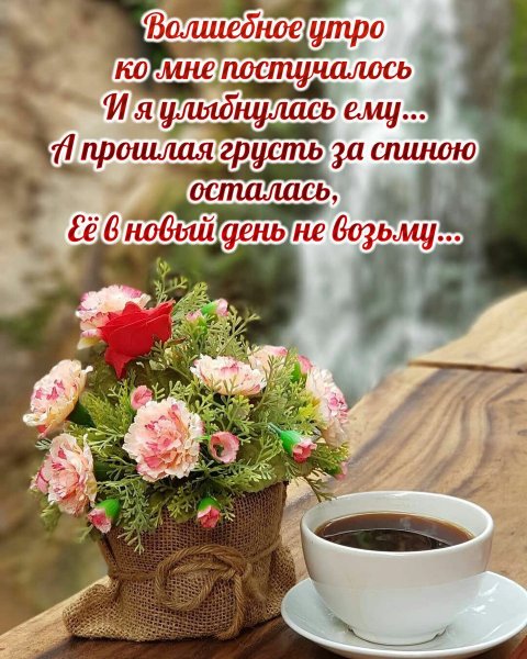 Всем доброе утро друзья