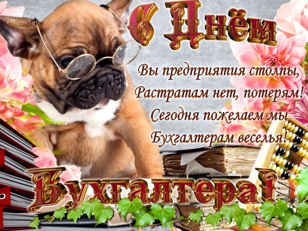 С днём бухгалтера поздравления