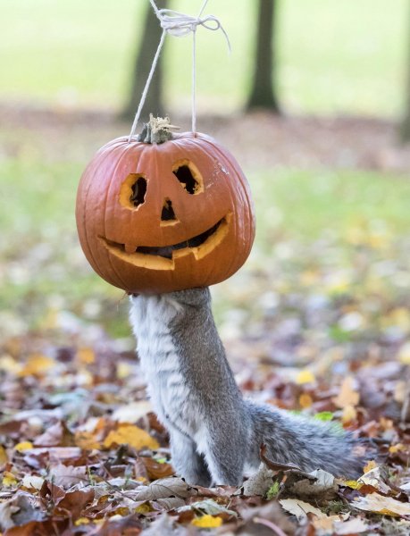 Позитивные картиночки