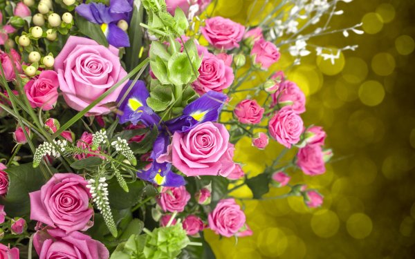 Красивые цветы