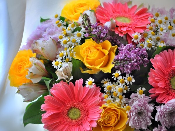 Розы и ромашки