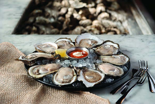 Oysters устрицы